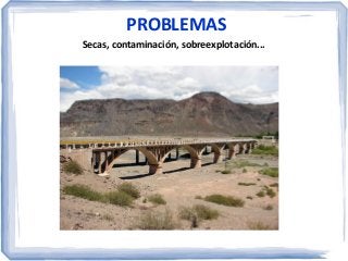 PROBLEMAS
Secas, contaminación, sobreexplotación...

 