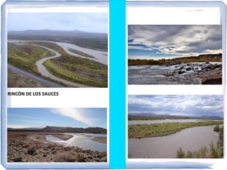 Rincón de los Sauces

 
