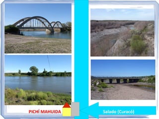 PICHÍ MAHUIDA

Salado (Curacó)

 