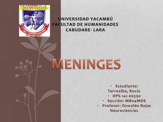 • Estudiante: 
Torrealba, Rocío 
• HPS-141-00390 
• Sección: MB04MOS 
• Profesor: Oswaldo Rojas 
Neurociencias 
 