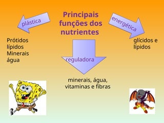 Principais
funções dos
nutrientes
reguladora
minerais, água,
vitaminas e fibras
energética
glícidos e
lípidos
Prótidos
lípidos
Minerais
água
plástica
 