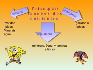 Principais funções dos nutrientes  reguladora minerais, água, vitaminas e fibras energética glícidos e lípidos  Prótidos lípidos Minerais água  plástica 
