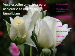 Comunicação
Planejamento
financeiro
Relacionamentos
Trabalho
Saúde
Gestão emocional
Profissão
Questões
familiares
Você escolhe uma área para
acelerar e as outras se
beneficiam
 