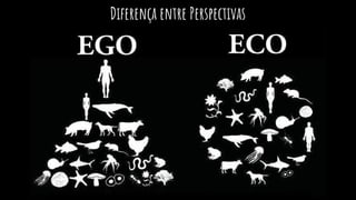 Diferença entre Perspectivas
 