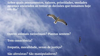 Sobre quais pensamentos, valores, prioridades, verdades
estamos ancorados ao tomar as decisões que tomamos hoje
em dia?
Outros animais raciocinam? Plantas sentem?
Tem consciência?
Empatia, moralidade, senso de justiça?
São altruístas? São manipuladores?
 