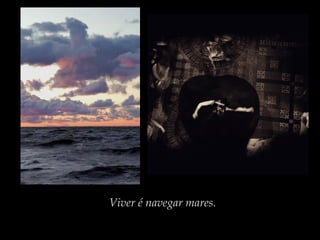 Viver é navegar mares.

 