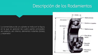 Descripción de los Rodamientos
La nomenclatura de un cojinete se indica en la figura,
en la que se aprecian las cuatro partes principales:
aro externo, aro interno, elementos rodantes (bolas),
y separador.
 