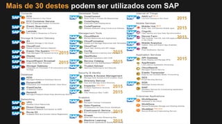 Mais de 30 destes podem ser utilizados com SAP
 