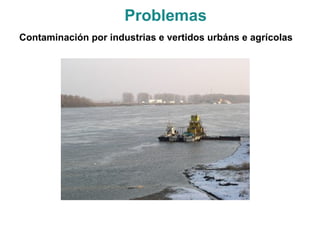 Contaminación por industrias e vertidos urbáns e agrícolas
Problemas
 