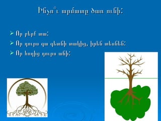 Ինչո՞ւ արմատը ծառ ունի: Որ բերք տա: Որ դուրս գա գետնի տակից, իրեն տեսնեն: Որ հողից դուրս աճի: 