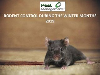 RODENT CONTROL DURING THE WINTER MONTHS
2019
 
