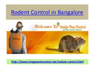 Rodent Control in Bangalore

                Welcome To




http://www.imagepestcontrol.net/rodent-control.html
 