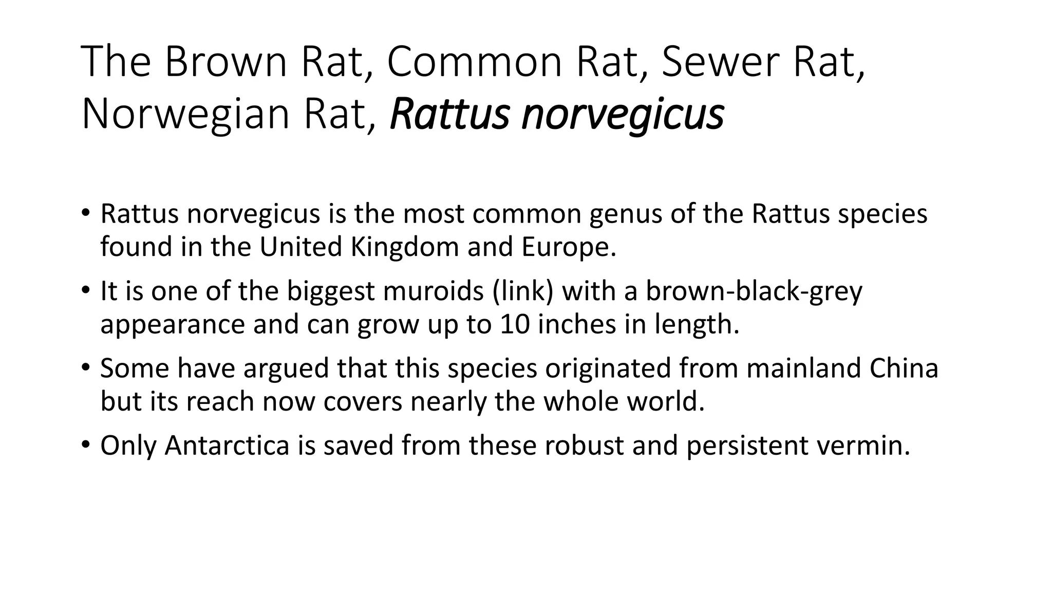 Rodent identification 2016 PPT