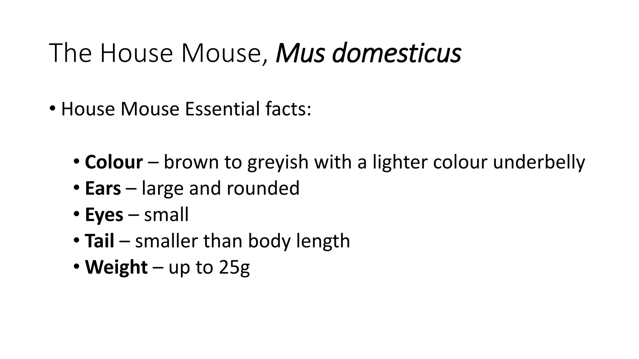 Rodent identification 2016 PPT