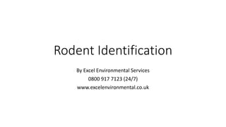 Rodent Identification
By Excel Environmental Services
0800 917 7123 (24/7)
www.excelenvironmental.co.uk
 