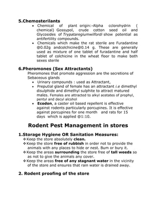 5.Chemosterilants
• Chemical of plant origin:-Alpha cclorohydrin (
chemical) Gossypol, crude cotton seed oil and
Glycosides of Trypataregiumwilfordi show potential as
antifertility compounds.
• Chemicals which make the rat sterile are Furadantine
@0.02g andcolchicine@0.14 g. These are generally
used as mixture of one tablet of furadantine and half
tablet of colchicine in the wheat floor to make both
sexes sterile
6.Pheromones (Sex Attractants)
Pheromones that promote aggression are the secretions of
Sebaceous glands
• Urinary compounds : used as Attractant,
• Preputial gland of female has an attractant i.e dimethyl
disulphide and dimethyl sulphite to attract matured
males. Females are attracted to alkyl acetates of prophyl,
pentyl and decyl alcohol
• Ecodon, a caster oil based repellent is effective
against rodents particularly porcupines. It is effective
against porcupines for one month and rats for 15
days which is applied @1:10.
Rodent Pest Management in stores
1.Storage Hygiene OR Sanitation Measures:
❖Keep the store absolutely clean.
❖Keep the store free of rubbish in order not to provide the
animals with any places to hide or nest. Bum or bury it.
❖Keep the areas surrounding the store free of tall weeds so
as not to give the animals any cover.
❖Keep the areas free of any stagnant water in the vicinity
of the store and ensures that rain water is drained away.
2. Rodent proofing of the store
 