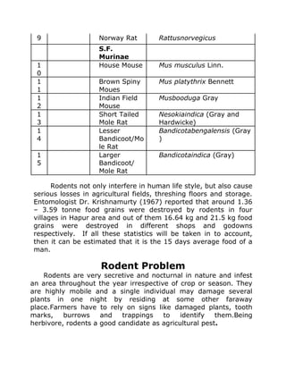 9 Norway Rat Rattusnorvegicus
S.F.
Murinae
1
0
House Mouse Mus musculus Linn.
1
1
Brown Spiny
Moues
Mus platythrix Bennett
1
2
Indian Field
Mouse
Musbooduga Gray
1
3
Short Tailed
Mole Rat
Nesokiaindica (Gray and
Hardwicke)
1
4
Lesser
Bandicoot/Mo
le Rat
Bandicotabengalensis (Gray
)
1
5
Larger
Bandicoot/
Mole Rat
Bandicotaindica (Gray)
Rodents not only interfere in human life style, but also cause
serious losses in agricultural fields, threshing floors and storage.
Entomologist Dr. Krishnamurty (1967) reported that around 1.36
– 3.59 tonne food grains were destroyed by rodents in four
villages in Hapur area and out of them 16.64 kg and 21.5 kg food
grains were destroyed in different shops and godowns
respectively. If all these statistics will be taken in to account,
then it can be estimated that it is the 15 days average food of a
man.
Rodent Problem
Rodents are very secretive and nocturnal in nature and infest
an area throughout the year irrespective of crop or season. They
are highly mobile and a single individual may damage several
plants in one night by residing at some other faraway
place.Farmers have to rely on signs like damaged plants, tooth
marks, burrows and trappings to identify them.Being
herbivore, rodents a good candidate as agricultural pest.
 
