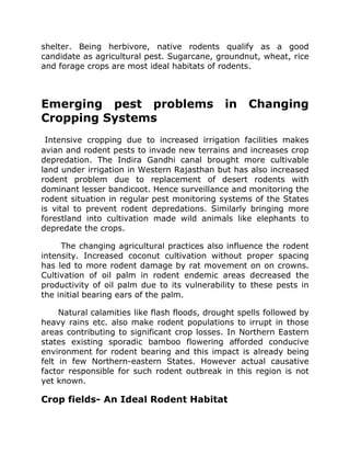 shelter. Being herbivore, native rodents qualify as a good
candidate as agricultural pest. Sugarcane, groundnut, wheat, rice
and forage crops are most ideal habitats of rodents.
Emerging pest problems in Changing
Cropping Systems
Intensive cropping due to increased irrigation facilities makes
avian and rodent pests to invade new terrains and increases crop
depredation. The Indira Gandhi canal brought more cultivable
land under irrigation in Western Rajasthan but has also increased
rodent problem due to replacement of desert rodents with
dominant lesser bandicoot. Hence surveillance and monitoring the
rodent situation in regular pest monitoring systems of the States
is vital to prevent rodent depredations. Similarly bringing more
forestland into cultivation made wild animals like elephants to
depredate the crops.
The changing agricultural practices also influence the rodent
intensity. Increased coconut cultivation without proper spacing
has led to more rodent damage by rat movement on on crowns.
Cultivation of oil palm in rodent endemic areas decreased the
productivity of oil palm due to its vulnerability to these pests in
the initial bearing ears of the palm.
Natural calamities like flash floods, drought spells followed by
heavy rains etc. also make rodent populations to irrupt in those
areas contributing to significant crop losses. In Northern Eastern
states existing sporadic bamboo flowering afforded conducive
environment for rodent bearing and this impact is already being
felt in few Northern-eastern States. However actual causative
factor responsible for such rodent outbreak in this region is not
yet known.
Crop fields- An Ideal Rodent Habitat
 