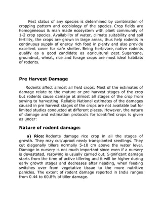 Pest status of any species is determined by combination of
cropping pattern and ecobiology of the species. Crop fields are
homogeneous & man made ecosystem with plant community of
1-2 crop species. Availability of water, climate suitability and soil
fertility, the crops are grown in large areas, thus help rodents in
continuous supply of energy rich food in plenty and also provide
excellent cover for safe shelter. Being herbivore, native rodents
qualify as a good candidate as agricultural pest. Sugarcane,
groundnut, wheat, rice and forage crops are most ideal habitats
of rodents.
Pre Harvest Damage
Rodents affect almost all field crops. Most of the estimates of
damage relate to the mature or pre harvest stages of the crop
but rodents cause damage at almost all stages of the crop from
sowing to harvesting. Reliable National estimates of the damages
caused in pre harvest stages of the crops are not available but for
limited studies conducted at different places. However, the nature
of damage and estimation protocols for identified crops is given
as under:
Nature of rodent damage:
a) Rice: Rodents damage rice crop in all the stages of
growth. They may cut/uproot newly transplanted seedlings. They
cut diagonally tillers normally 5-10 cm above the water level.
Damage in nursery is not much important since even if a nursery
is devastated, resowing is usually carried out. Significant damage
starts from the time of active tillering and it will be higher during
early growth stages and decreases after heading, when feeding
switches over from vegetative tissue to the more nutritive
panicles. The extent of rodent damage reported in India ranges
from 0.44 to 60.8% of tiller damage.
 