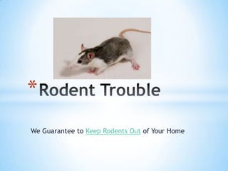 *
We Guarantee to Keep Rodents Out of Your Home
 