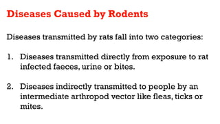 Rodents and vector.pptx..............,... | PPTX