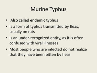 Murine Typhus
• Also called endemic typhus
• Is a form of typhus transmitted by fleas,
usually on rats
• Is an under-recognized entity, as it is often
confused with viral illnesses
• Most people who are infected do not realize
that they have been bitten by fleas
 