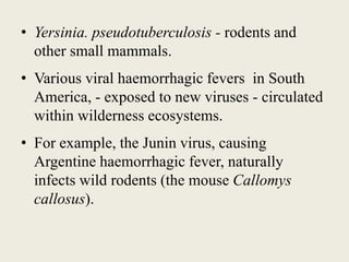 • Yersinia. pseudotuberculosis - rodents and
other small mammals.
• Various viral haemorrhagic fevers in South
America, - exposed to new viruses - circulated
within wilderness ecosystems.
• For example, the Junin virus, causing
Argentine haemorrhagic fever, naturally
infects wild rodents (the mouse Callomys
callosus).
 