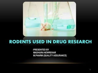 RODENTS USED IN DRUG RESEARCH
-PRESENTED BY
MADHURA NEWREKAR
M.PHARM (QUALITY ASSURANCE)
1
 