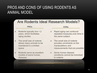 Rodents used in Drug Research | PPTX