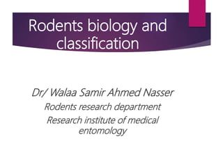 Rodents biology and
classification
Dr/ Walaa Samir Ahmed Nasser
Rodents research department
Research institute of medical
entomology
 