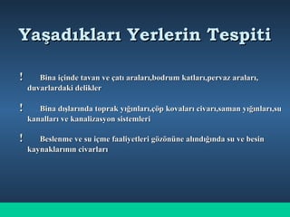 Yaşadıkları Yerlerin TespitiYaşadıkları Yerlerin Tespiti
!! Bina içinde tavan ve çatı araları,bodrum katları,pervaz araları,Bina içinde tavan ve çatı araları,bodrum katları,pervaz araları,
duvarlardaki deliklerduvarlardaki delikler
!! Bina dışlarında toprak yığınları,çöp kovaları civarı,saman yığınları,suBina dışlarında toprak yığınları,çöp kovaları civarı,saman yığınları,su
kanalları ve kanalizasyon sistemlerikanalları ve kanalizasyon sistemleri
!! Beslenme ve su içme faaliyetleri gözönüne alındığında su ve besinBeslenme ve su içme faaliyetleri gözönüne alındığında su ve besin
kaynaklarının civarlarıkaynaklarının civarları
 