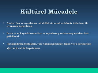 Kültürel MücadeleKültürel Mücadele
• Ambar fare ve sıçanlarına ait deliklerin camlı ve kömür tozlu harç ileAmbar fare ve sıçanlarına ait deliklerin camlı ve kömür tozlu harç ile
sıvanarak kapatılmasısıvanarak kapatılması
• Besin ve su kaynaklarının fare ve sıçanların yaralanamayacakları haleBesin ve su kaynaklarının fare ve sıçanların yaralanamayacakları hale
getirilmesi,getirilmesi,
• Havalandırma boşlukları, yere yakın pencereler, lağım ve su borularınınHavalandırma boşlukları, yere yakın pencereler, lağım ve su borularının
ağzı kafes tel ile kapatılmasıağzı kafes tel ile kapatılması
 