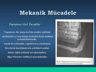 Mekanik MücadeleMekanik Mücadele
Yapıştırıcı Gel TuzaklarYapıştırıcı Gel Tuzaklar
Yapıştırıcı, bir sunta üzerine çember şeklindeYapıştırıcı, bir sunta üzerine çember şeklinde
sürülmekte ve orta kısma cezbedici besin maddesisürülmekte ve orta kısma cezbedici besin maddesi
yerleştirilmektedir.yerleştirilmektedir.
Ancak bu yöntemde, yapıştırıcıya yakalanmışAncak bu yöntemde, yapıştırıcıya yakalanmış
bireylerin kurtulmak için çektikleri acıdanbireylerin kurtulmak için çektikleri acıdan
dolayı çığlık şeklinde ses çıkarmaları,dolayı çığlık şeklinde ses çıkarmaları,
diğer bireylere tehlikeyi uyarmaktadır.diğer bireylere tehlikeyi uyarmaktadır.
 