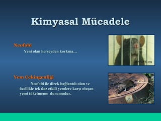 Kimyasal MücadeleKimyasal Mücadele
NeofobiNeofobi
Yeni olan herşeyden korkma…Yeni olan herşeyden korkma…
Yem ÇekingenliğiYem Çekingenliği
Neofobi ile direk bağlantılı olan veNeofobi ile direk bağlantılı olan ve
özellikle tek doz etkili yemlere karşı oluşanözellikle tek doz etkili yemlere karşı oluşan
yemi tüketmeme durumudur.yemi tüketmeme durumudur.
 