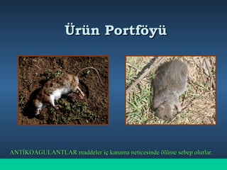 Ürün PortföyüÜrün Portföyü
ANTİKOAGULANTLAR maddeler iç kanama neticesinde ölüme sebep olurlar.ANTİKOAGULANTLAR maddeler iç kanama neticesinde ölüme sebep olurlar.
 