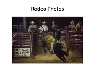 Rodeo Photos
 