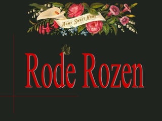 Rode Rozen 