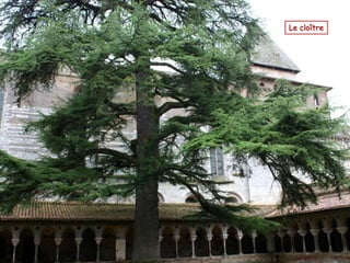 Le cloître
 