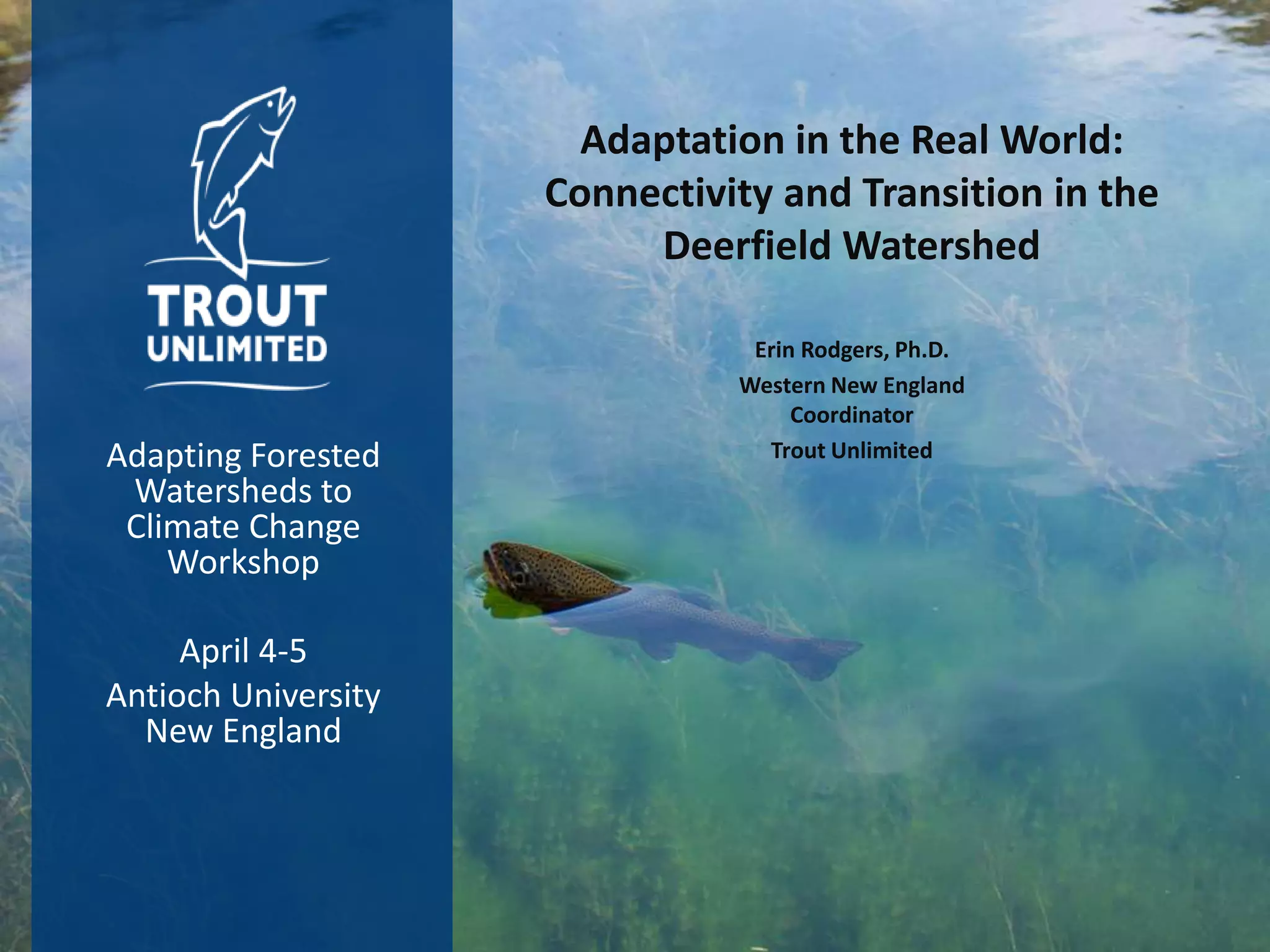 Adapting Forested
Watersheds to
Climate Change
Workshop
April 4-5
Antioch University
New England
Erin Rodgers, Ph.D.
Western New England
Coordinator
Trout Unlimited
Adaptation in the Real World:
Connectivity and Transition in the
Deerfield Watershed