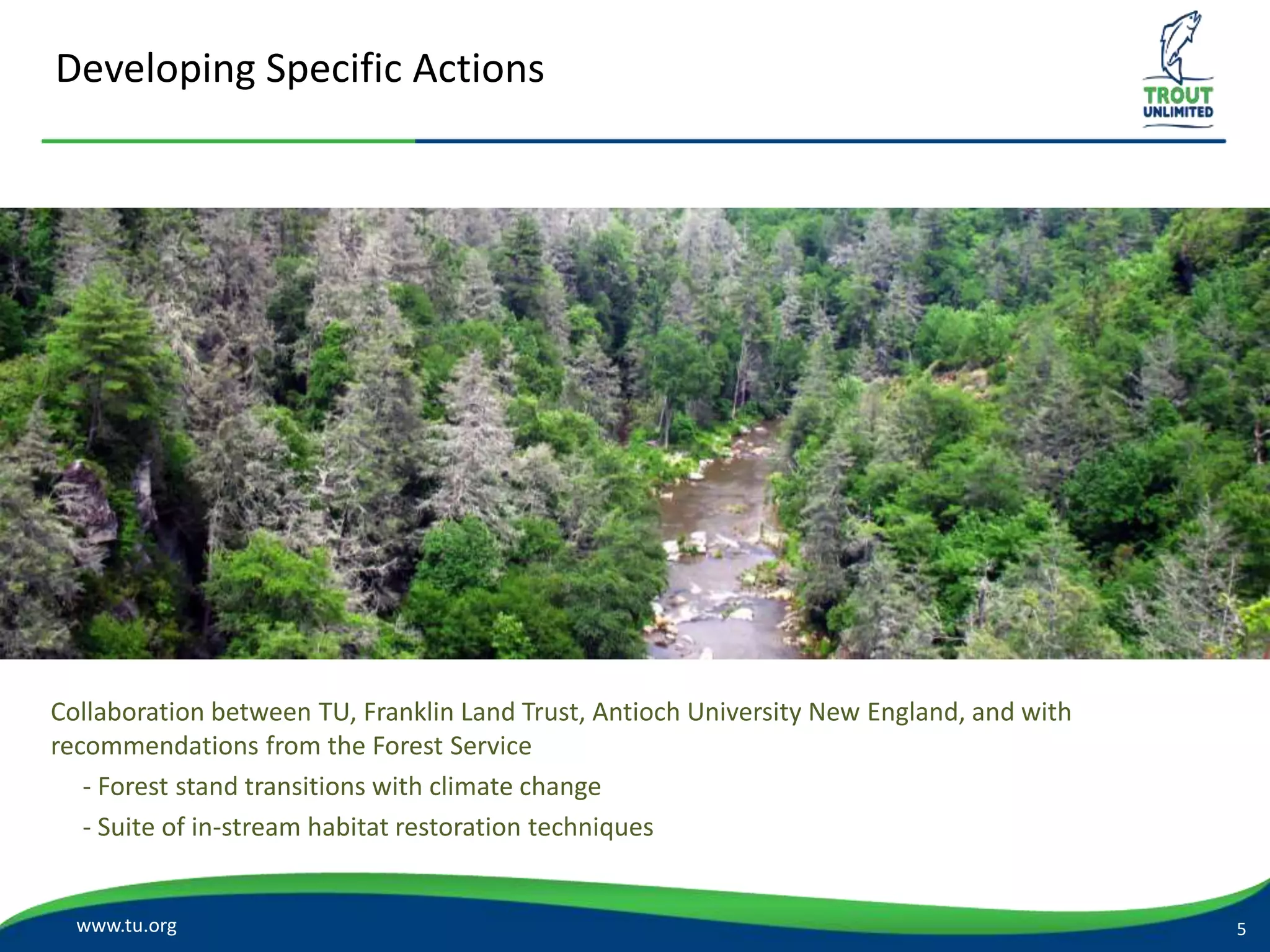 Developing Specific Actions
www.tu.org
Collaboration between TU, Franklin Land Trust, Antioch University New England, and with
recommendations from the Forest Service
- Forest stand transitions with climate change
- Suite of in-stream habitat restoration techniques
5
