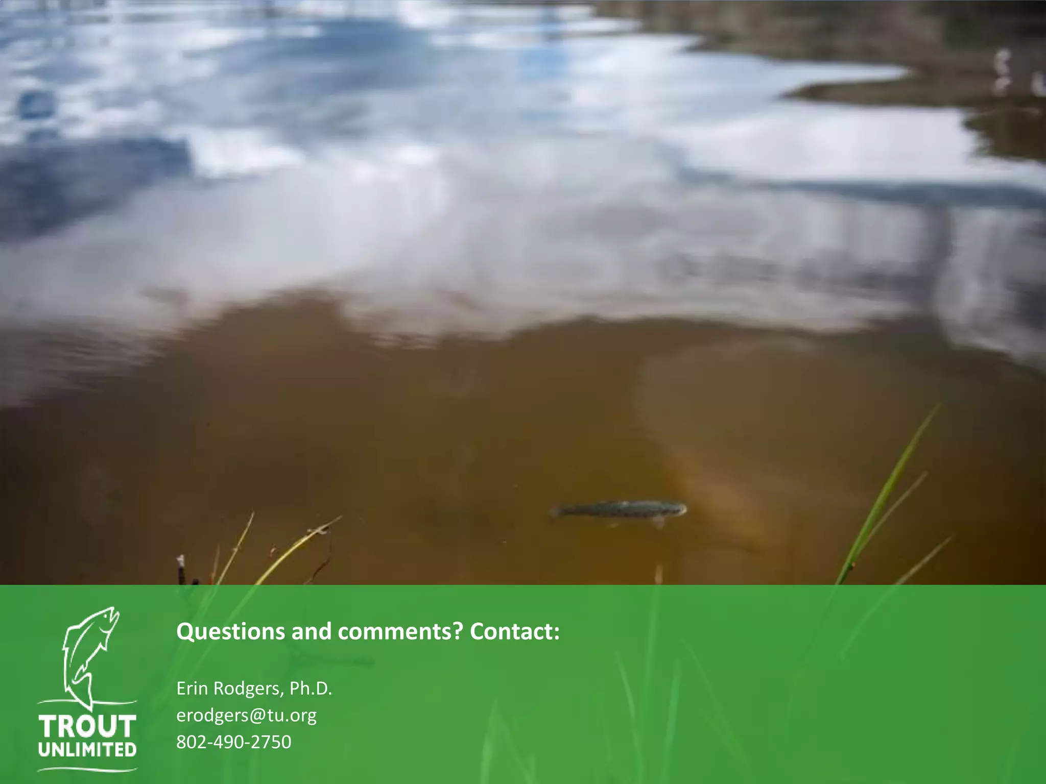 Questions and comments? Contact:
Erin Rodgers, Ph.D.
erodgers@tu.org
802-490-2750