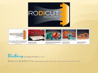 BlueBerry   consulting & trade s.a.r.l Represents RODICUT for:  Lebanon-Syria-Jordan-UAE-GCC-Cyprus-Greece-North   & West Africa 