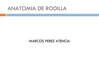 ANATOMIA DE RODILLA ,[object Object]