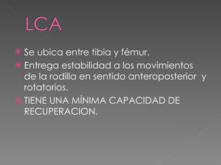 Se ubica entre tibia y fémur. Entrega estabilidad a los movimientos de la rodilla en sentido anteroposterior  y rotatorios. TIENE UNA MÍNIMA CAPACIDAD DE RECUPERACION. 