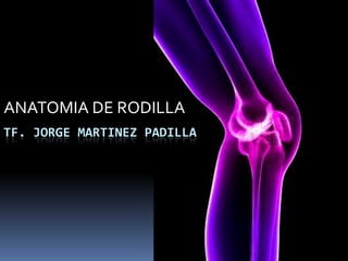 ANATOMIA DE RODILLA
TF. JORGE MARTINEZ PADILLA
 