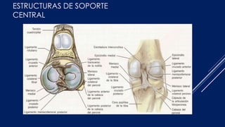 ESTRUCTURAS DE SOPORTE
CENTRAL
 