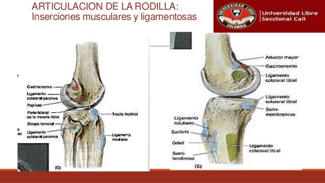 Por qué duele la parte derecha de los riñones durante el embarazo