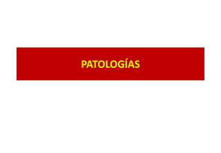 PATOLOGÍAS
 