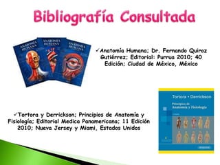 Tortora y Derrickson; Principios de Anatomía y
Fisiología; Editorial Medica Panamericana; 11 Edición
2010; Nueva Jersey y Miami, Estados Unidos
Anatomía Humana; Dr. Fernando Quiroz
Gutiérrez; Editorial: Purrua 2010; 40
Edición; Ciudad de México, México
 