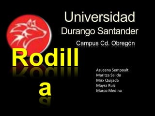 Universidad
Durango Santander
Campus Cd. Obregón
Rodill
a
Azucena Sempoalt
Maritza Salido
Mirx Quijada
Mayra Ruiz
Marco Medina
 